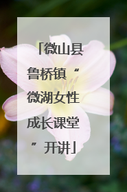微山县鲁桥镇“微湖女性成长课堂”开讲