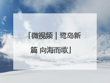 微视频｜鹭岛新篇 向海而歌