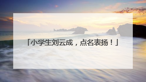 小学生刘云成，点名表扬！