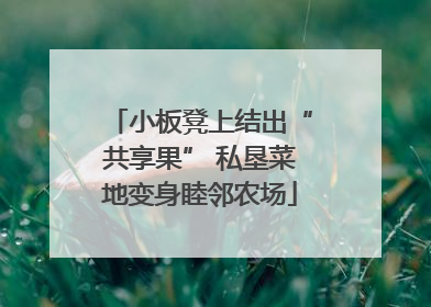 小板凳上结出“共享果” 私垦菜地变身睦邻农场