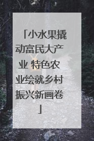 小水果撬动富民大产业 特色农业绘就乡村振兴新画卷
