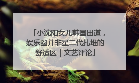 小沈阳女儿韩国出道，娱乐圈并非星二代扎堆的舒适区｜文艺评论