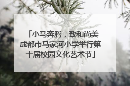 小马奔腾，致和尚美 成都市马家河小学举行第十届校园文化艺术节