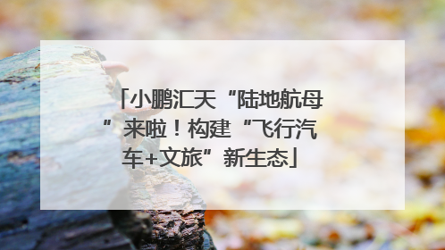 小鹏汇天“陆地航母”来啦！构建“飞行汽车+文旅”新生态