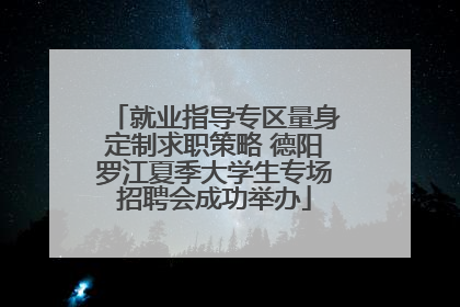 就业指导专区量身定制求职策略 德阳罗江夏季大学生专场招聘会成功举办