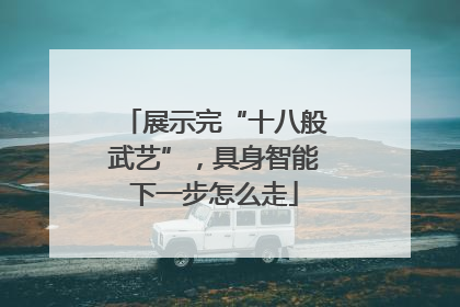 展示完“十八般武艺”，具身智能下一步怎么走