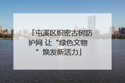 屯溪区织密古树防护网 让“绿色文物”焕发新活力