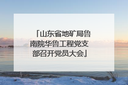 山东省地矿局鲁南院华鲁工程党支部召开党员大会