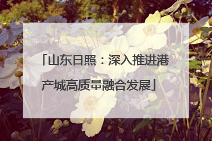 山东日照：深入推进港产城高质量融合发展