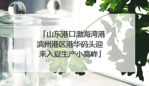 山东港口渤海湾港滨州港区港华码头迎来入夏生产小高峰