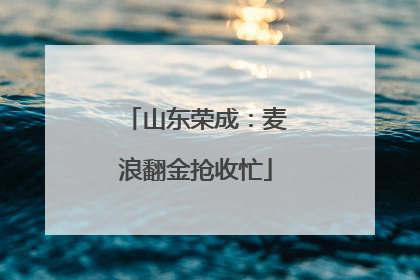 山东荣成：麦浪翻金抢收忙