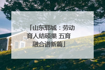 山东郓城：劳动育人结硕果 五育融合谱新篇