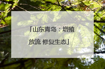 山东青岛：增殖放流 修复生态