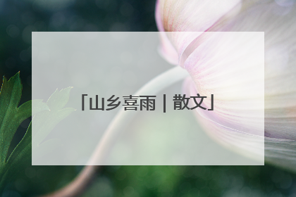 山乡喜雨｜散文