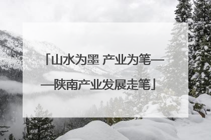山水为墨 产业为笔——陕南产业发展走笔