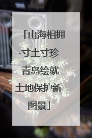 山海相拥·寸土寸珍 青岛绘就土地保护新图景
