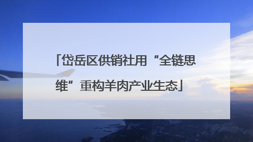 岱岳区供销社用“全链思维”重构羊肉产业生态