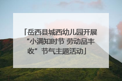 岳西县城西幼儿园开展“小满知时节 劳动品丰收”节气主题活动