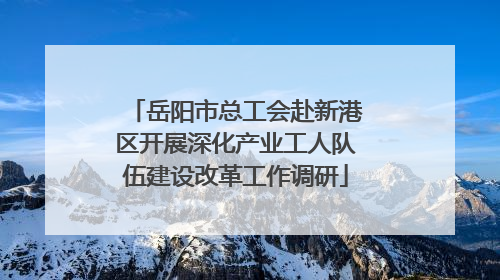 岳阳市总工会赴新港区开展深化产业工人队伍建设改革工作调研