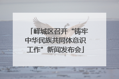 峄城区召开“铸牢中华民族共同体意识工作”新闻发布会