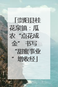 崇阳县桂花泉镇：瓜农“点花成金” 书写“甜蜜事业”增收经