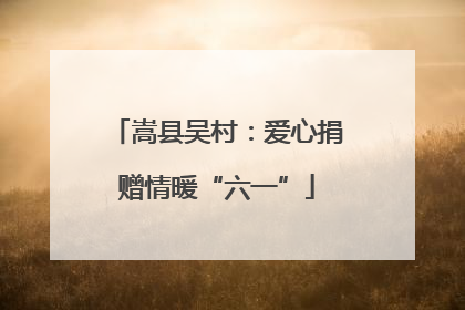 嵩县吴村：爱心捐赠情暖“六一”