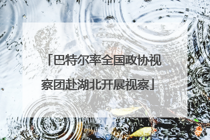巴特尔率全国政协视察团赴湖北开展视察