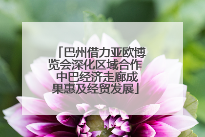 巴州借力亚欧博览会深化区域合作 中巴经济走廊成果惠及经贸发展