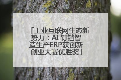 工业互联网生态新势力：AI 钉铛智造生产ERP获创新创业大赛优胜奖
