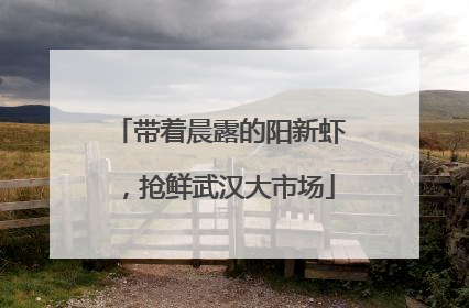 带着晨露的阳新虾，抢鲜武汉大市场