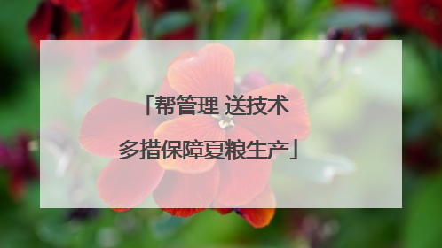 帮管理 送技术 多措保障夏粮生产