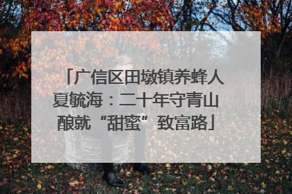 广信区田墩镇养蜂人夏毓海：二十年守青山酿就“甜蜜”致富路