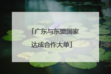 广东与东盟国家达成合作大单