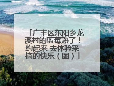 广丰区东阳乡龙溪村的蓝莓熟了！约起来 去体验采摘的快乐（图）
