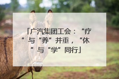 广汽集团工会：“疗”与“养”并重，“休”与“学”同行