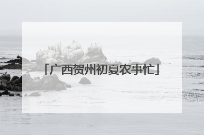 广西贺州初夏农事忙