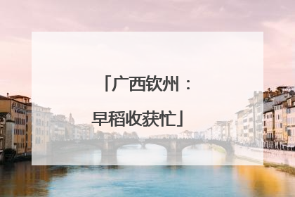 广西钦州：早稻收获忙