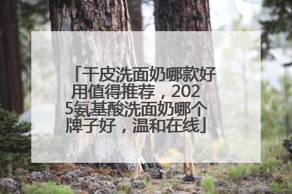 干皮洗面奶哪款好用值得推荐，2025氨基酸洗面奶哪个牌子好，温和在线