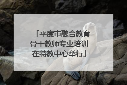 平度市融合教育骨干教师专业培训在特教中心举行