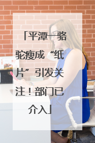 平潭一骆驼瘦成“纸片”引发关注！部门已介入