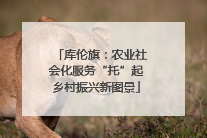 库伦旗：农业社会化服务“托”起乡村振兴新图景