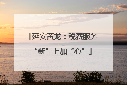 延安黄龙：税费服务“新”上加“心”