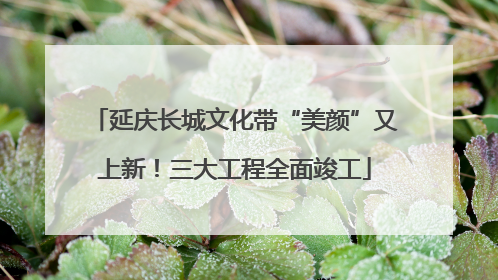 延庆长城文化带“美颜”又上新！三大工程全面竣工