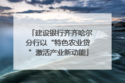 建设银行齐齐哈尔分行以“特色农业贷”激活产业新动能