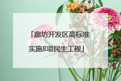 廊坊开发区高标准实施8项民生工程