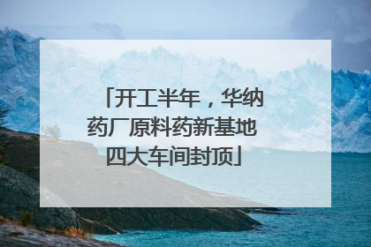 开工半年，华纳药厂原料药新基地四大车间封顶