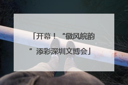 开幕！“徽风皖韵”添彩深圳文博会