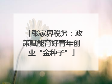 张家界税务：政策赋能育好青年创业“金种子”