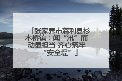 张家界市慈利县杉木桥镇：闻“汛”而动显担当 齐心筑牢“安全堤”
