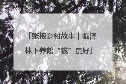 张掖乡村故事｜临泽林下养鹅“钱”景好